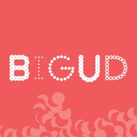 bigud social logo - Similar company to Rappcollins