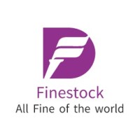 Finestock Electronics HK Limited logo - Similar company to China Payroll