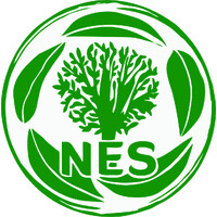 NES - Núcleo de Estudos em Silvicultura logo - Similar company to Engenheiros Sem Fronteiras - Núcleo Lavras