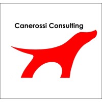 Canerossi Consulting, Inc.