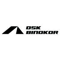 DSK BInokor logo - Similar company to Driver'S Village