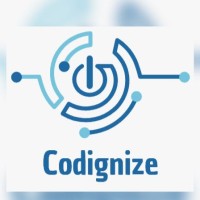 Codignize Solutions logo - Similar company to Cubix