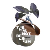 This is Not Belgium logo - Similar company to Gobolights