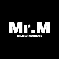 Mr. Management logo - Similar company to M.R. Management Consulting