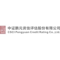 中证鹏元资信评估股份有限公司 logo - Similar company to Csci Pengyuan International (Cspi Ratings)
