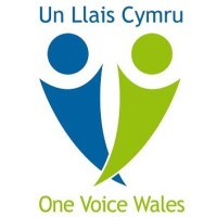 UN LLAIS CYMRU - ONE VOICE WALES logo - Similar company to Team Elite