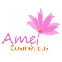 Amei Cosméticos Oficial logo - Similar company to Efac Cosméticos