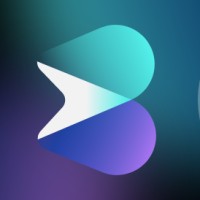 Buro Brein logo - Similar company to Studio Mui