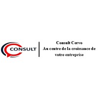 Consult Cervo logo - Similar company to Ndongo Ntiere