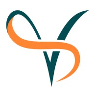 Vibhilt Digital Solutions logo - Similar company to Bhouma Envirotech Pvt Ltd