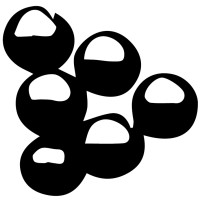 The Pōpolo Project logo - Similar company to Beyond The C-Suite