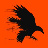 Hashtag Creative Studios logo - Similar company to Modic