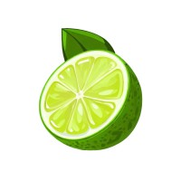 Mojito.Partners logo - Similar company to Rubiconware