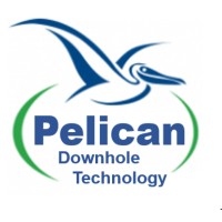 Pelican Downhole Technology LLC logo - Similar company to Exedra As