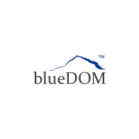 blueDOM AG logo - Similar company to Calytic
