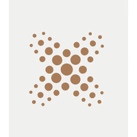 Dental Prime logo - Similar company to Faste | Travel-As-A-Service Ecosystem