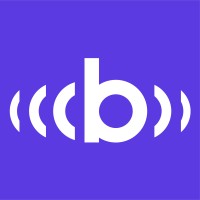 Bridge Growth logo - Similar company to Paramexdigital