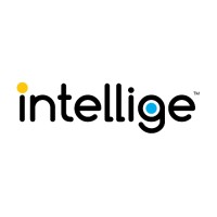 INTELLIGE logo - Similar company to Intellige Web Technologies Private Limited