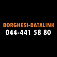 BORGHESI-DATALINK logo - Similar company to Doreli Gruppe
