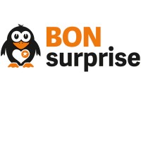 BONsurprise - Verein zur Unterstützung schwerstkranker Kinder und deren Familien logo - Similar company to Kinderhospiz Lichtblickhof
