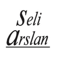 EDITIONS SELI ARSLAN logo - Similar company to Gefers Formation