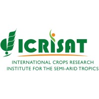 Geospatial & Big Data Sciences-ICRISAT logo - Similar company to Mapxl