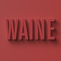 WAINE logo - Similar company to Bleck Out
