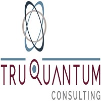 TruQuantum Consulting logo - Similar company to Truit