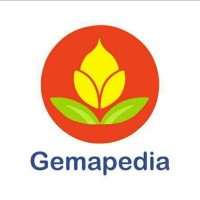 Gemapedia Official logo - Similar company to Asia Career Center