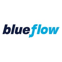 Blue Flow All Service Plumbing logo - Similar company to Te Certified