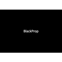 BlackProp logo - Similar company to Radical Minds