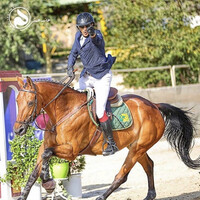 JAM Horse Riding School logo - Similar company to Horse Riding School