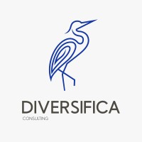 Diversifica Consulting logo - Similar company to Brel Financial