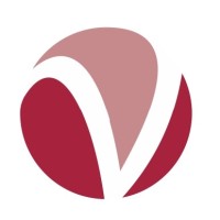 VectraTech Global logo - Similar company to Meridiansoft