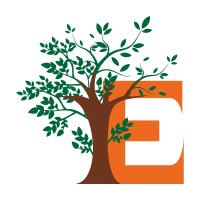 Enleanytics logo - Similar company to Adyptive Analytics