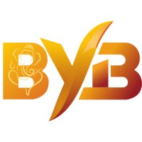 boost your business logo - Similar company to Performdigi