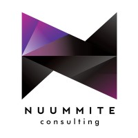 Nuummite Consulting logo - Similar company to Numite
