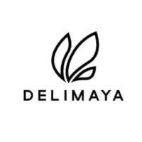Delimaya logo - Similar company to Web Informática