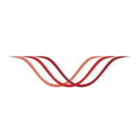 Wavelength Licensing Inc logo - Similar company to Lifetime Activities