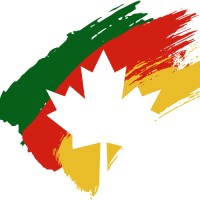 Black Maple logo - Similar company to Thc Canada