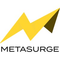 Metasurge logo - Similar company to Blue Ocean Info Technologies Private Limited
