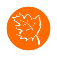 Coach Olk logo - Similar company to Success From A Peaceful Mind