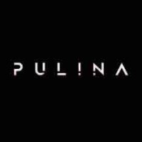 Pulina Exclusive Interiors logo - Similar company to Massari Design