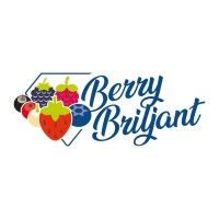 Berry Briljant logo - Similar company to Royal Berry
