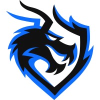 Dragonscale logo - Similar company to Spacebeacon