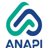 Anapi logo - Similar company to Continuum