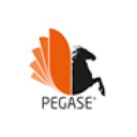 PEGASE Informatique & Solutions IP logo - Similar company to Hesperia Informatique