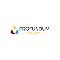 Profundum Solutions logo - Similar company to Punctum Usa