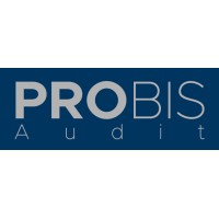 PROBIS Audit a.s. logo - Similar company to Madfox Design S.R.O.
