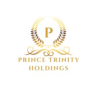 Prince Trinity Holdings logo - Similar company to Cyberom